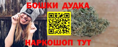 стаф Обь