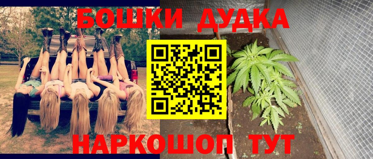 Канабис OG Kush Рассказово